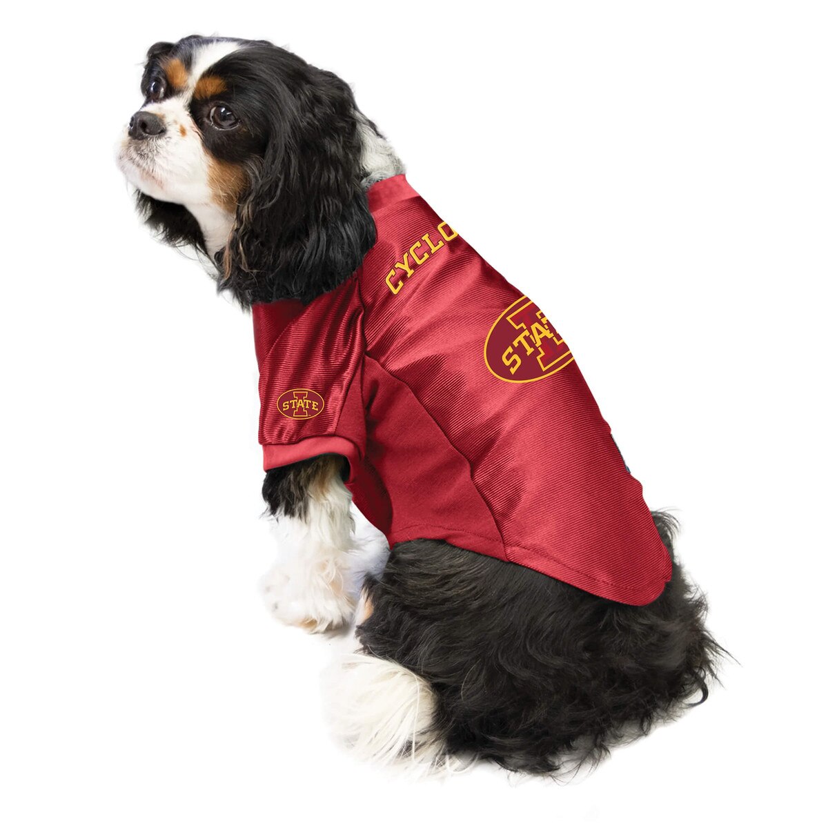 Little Earth Cardinal I-State Pet Stretch Jersey